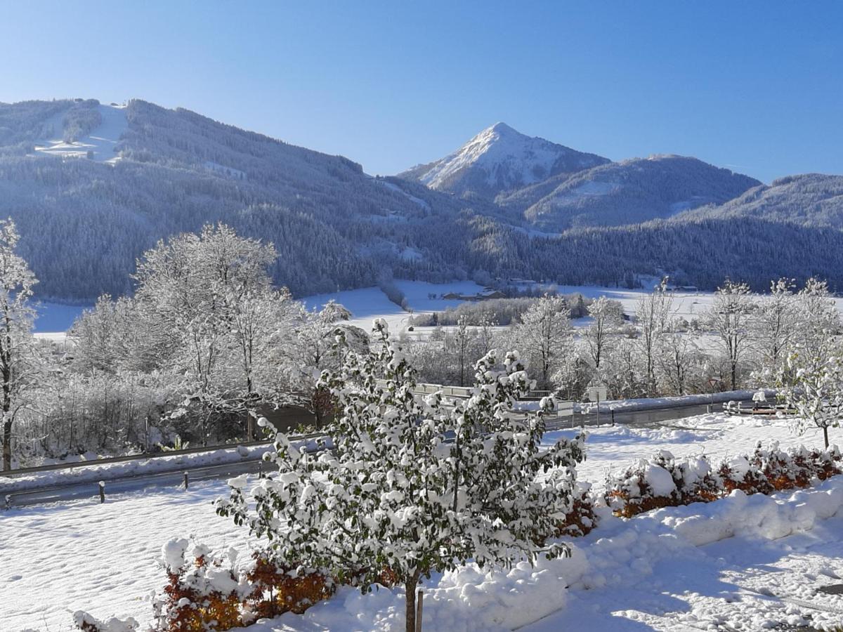 Filzerlehen Villa Radstadt Bagian luar foto