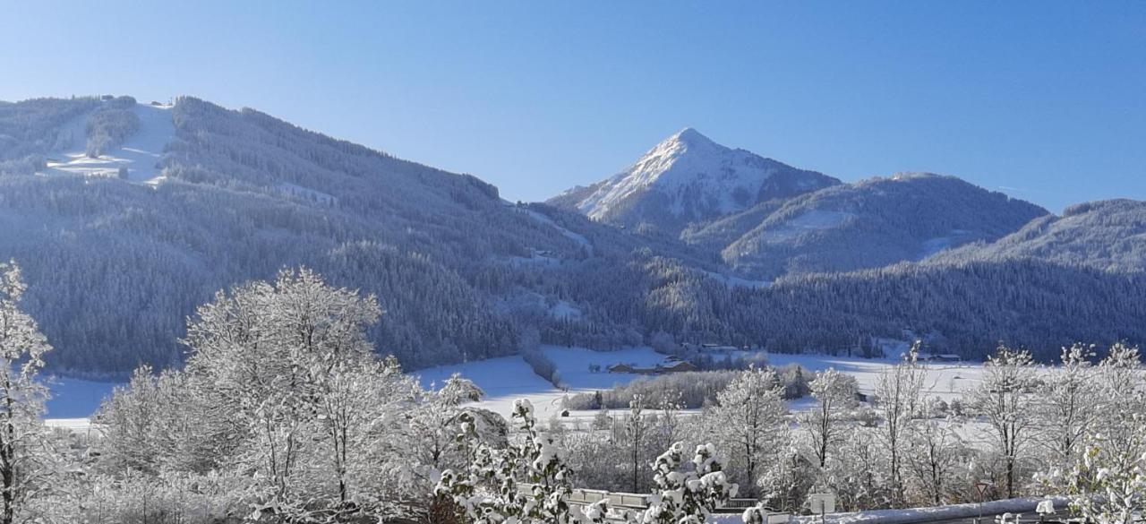 Filzerlehen Villa Radstadt Bagian luar foto